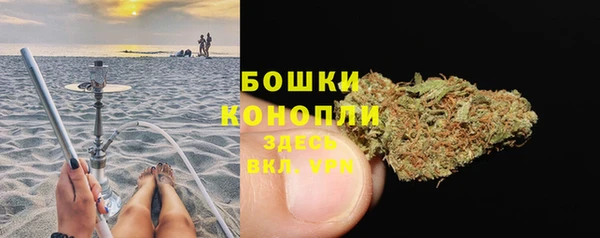 сатива Богородицк