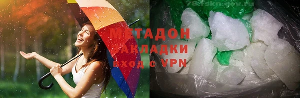молекула духа Богданович