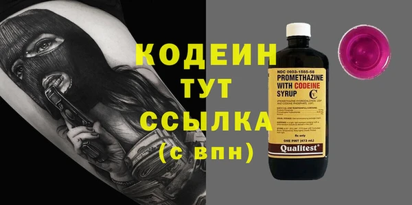 молекула духа Богданович