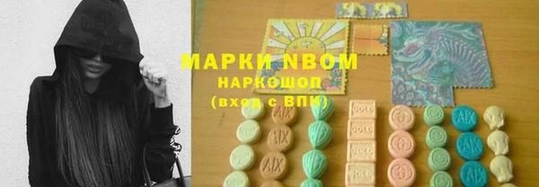 молекула духа Богданович
