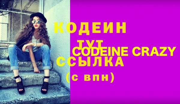 молекула духа Богданович