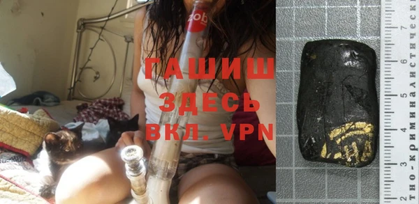 молекула духа Богданович