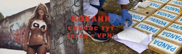 сатива Богородицк