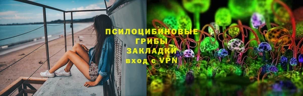 молекула духа Богданович