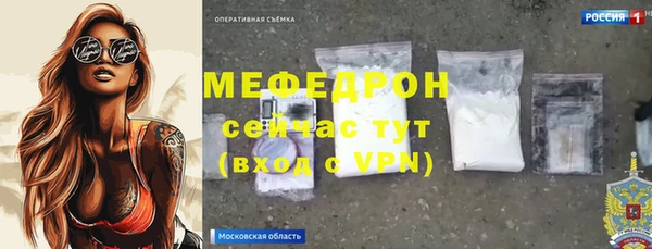 молекула духа Богданович