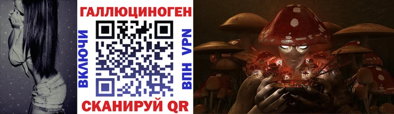 Купить  Бологое  Галлюциногенные грибы прущие грибы 